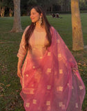 Double tone shimmer cotton Lucknowi suit