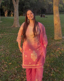 Double tone shimmer cotton Lucknowi suit